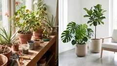 Ove 7 biljaka suptilno daju vašem stanu starinski ugođaj