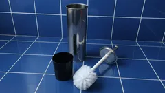 Kako pravilno očistiti četku za WC: 3 metode bez kemikalija