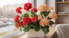 Gdje smjestiti biljke umjesto na prozorskoj dasci – i zašto je to važno