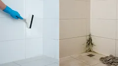 Plijesan u kupaonici: 7 pogrešaka pri čišćenju zbog kojih se stalno vraća