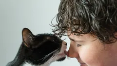 Ponašanje mačaka: zašto lizanje nije samo znak naklonosti