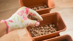 Godinama ste pogrešno koristili ekspandiranu glinu: evo čemu ona zapravo služi.