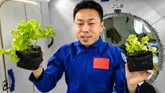 Znanstvenici su naučili kako proizvesti dišni zrak u svemiru: proboj za Mars